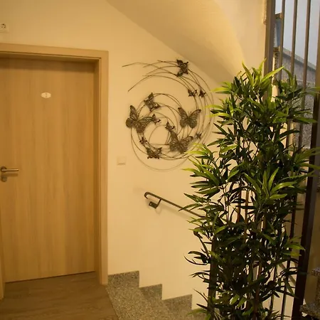 酒店 Zur Dorfschaenke 3*