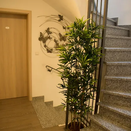 Zur Dorfschaenke 3* 克洛滕