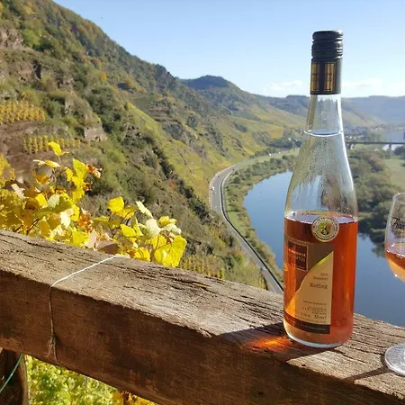 מלון Zur Dorfschaenke 3*