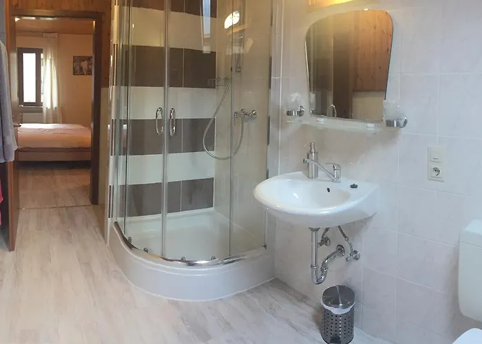 Otel Zur Dorfschaenke 3*