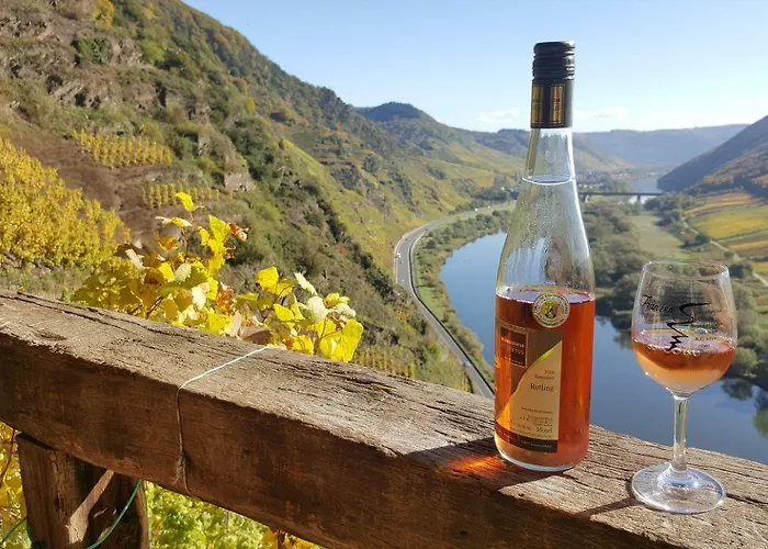 Hotel Zur Dorfschaenke 3*